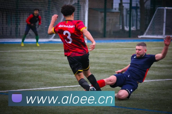 爱游戏ayx官网app发展历程